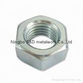 DIN934 HEX NUTS 1
