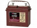 12 VOLT DEEP CYCLE FLOODED BATTERY