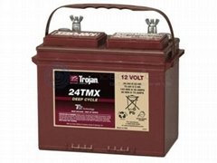 12 VOLT DEEP CYCLE FLOODED BATTERY