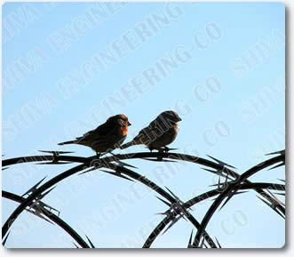 RAZOR BARBED WIRE 4