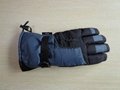 Supply Ski Glove
