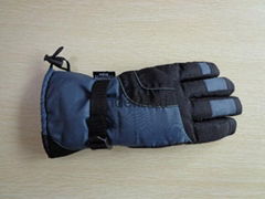 Supply Ski Glove