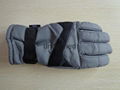 Supply Ski Glove 2