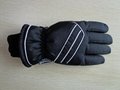 Supply Ski Glove 5