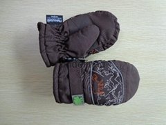  Ski Glove