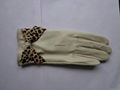 Sheep Leather Glove  5