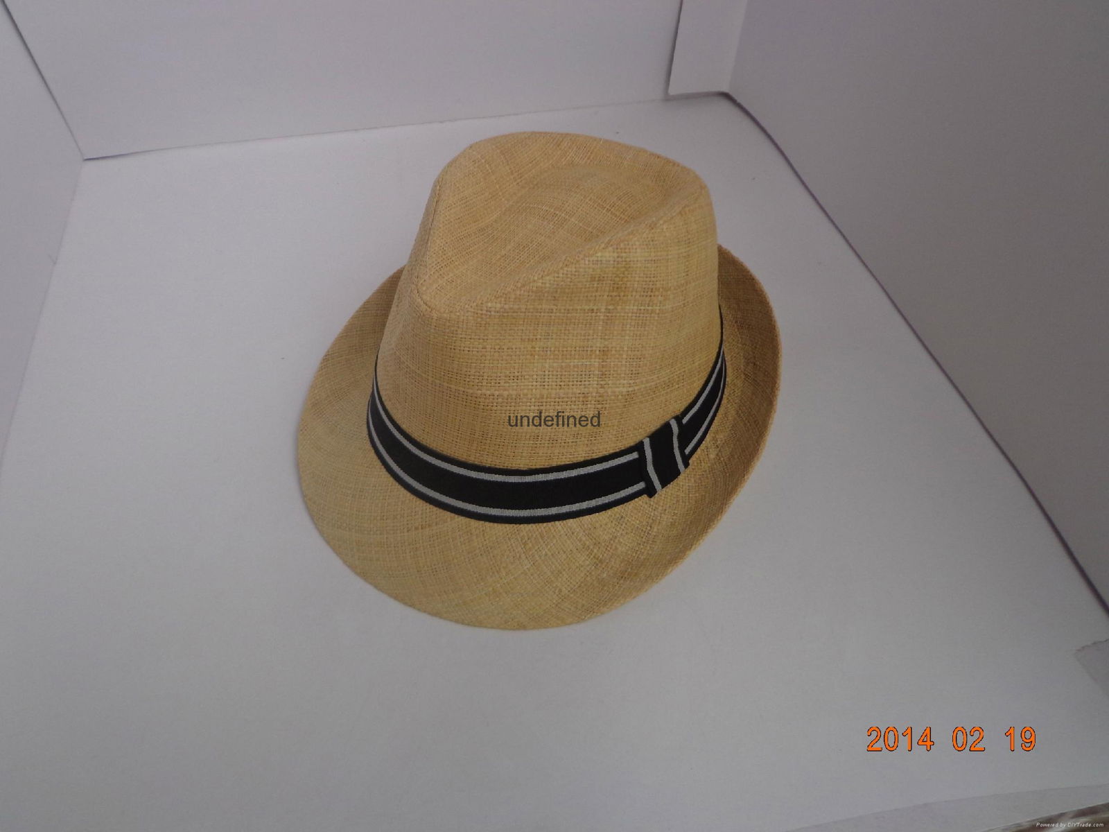 Fashion Paper Straw Dress Hat 2