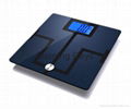 Bathroom Scale