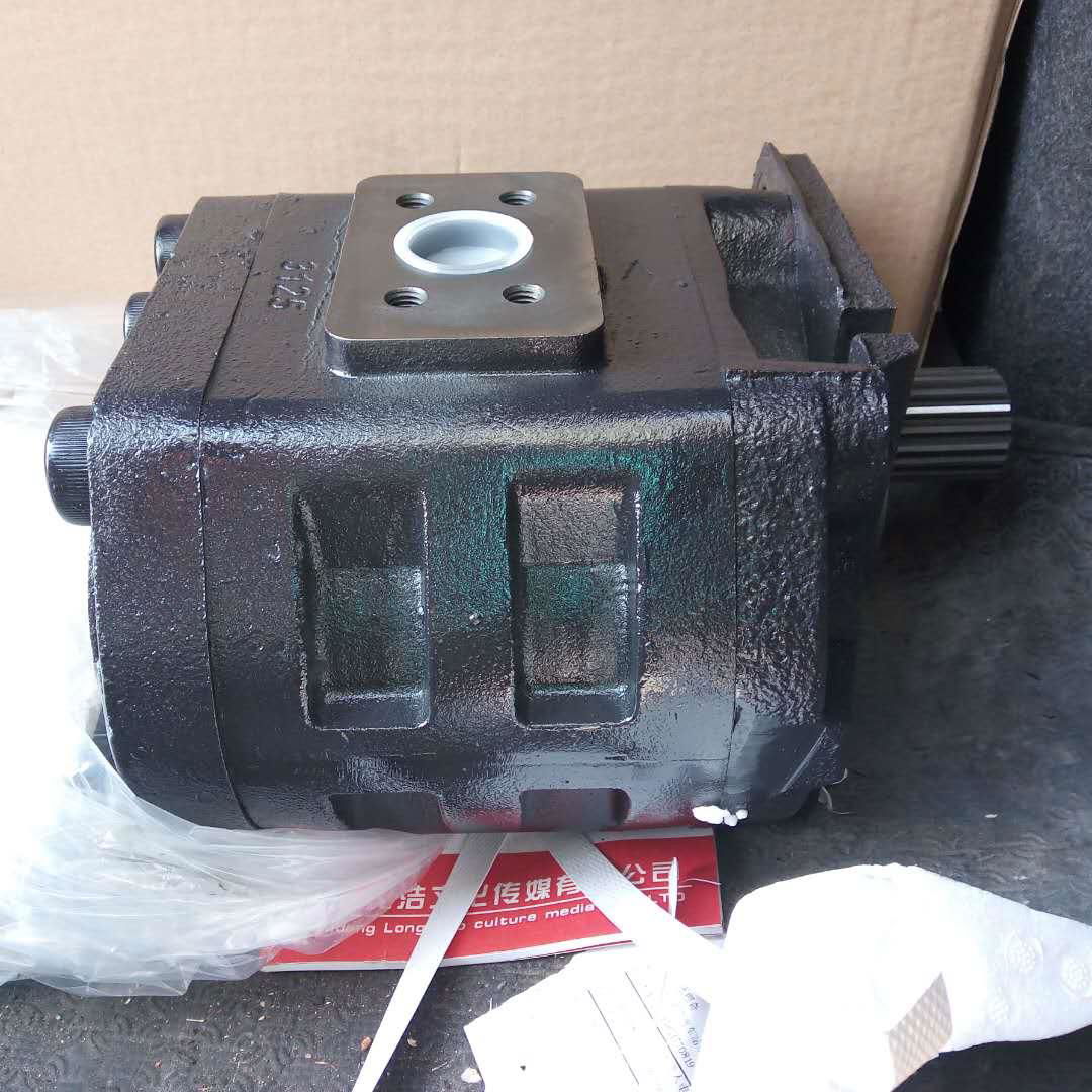 shantui garder  gear pump  CBGJ3125C pump assy