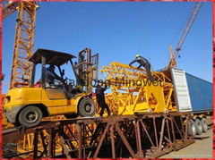 China Construction Tower Crane with CE Certification Qtz80 (6010)