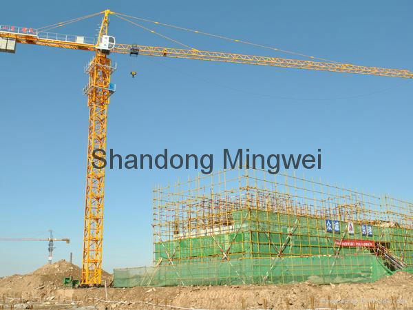 safely China Tower Crane Qtz50 (5008)