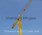 High Work Efficiency Flattop Tower Crane Qtz100 (5613) 5