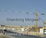  Mobile Tower Crane Qtz50 (5008)