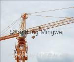  Mobile Tower Crane Qtz50 (5008) 3