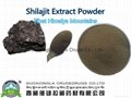 Shilajit Extract Powder - Premium - Tibet Himalaya Mountains 1