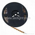 IP65 smd5050 led flexible strip 1