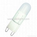 G9 LED lamp with fluorescent cover 3