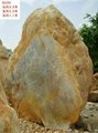 小区公共景观大型黄蜡石 4