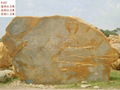 湖州水池包邊大型黃臘石 4