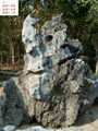 長沙大型太湖石 5