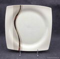 BONE WARE Plate