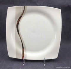  BONE WARE Plate  