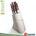 5pcs stainless steel royalty line knife