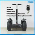 Price Down! Two Wheels Self Balancing Electric Chariot, Electric Standing Scoote 3