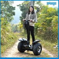 Price Down! Two Wheels Self Balancing Electric Chariot, Electric Standing Scoote 5