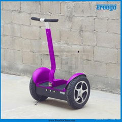 Two Wheel City Balancing Self Balancing Electric Scooter, Vehicle