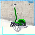 New Arrival 2 Wheel Powerful Standing Balance Electric Scooter 3