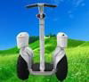 Green Power High-Class off Road Vehicle 2 Wheel Self-Balancing Electric Scooter 