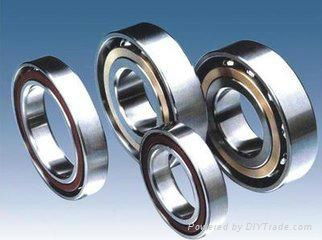 Bearing 4