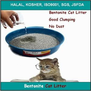 Bentonite cat litter