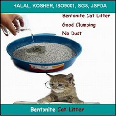 Bentonite cat litter