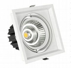 Popular Fashion CREE 30W LED Recessed Ceiling Bean Light