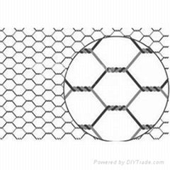 Hexagonal Netting