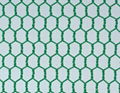 Hexagonal Netting 4