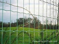 Holland wire mesh