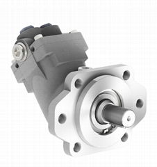 Hydraulic Bent Axis Motors