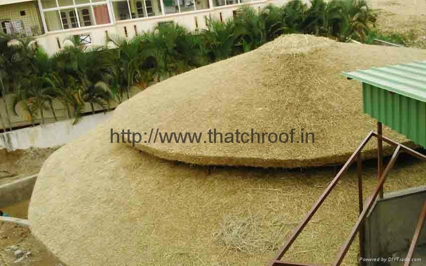 Thatch Roof 2
