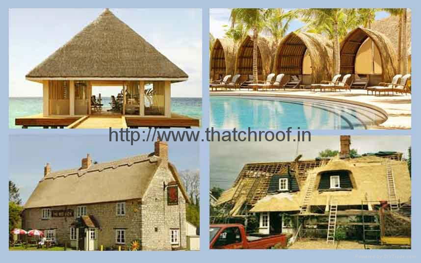 Thatch Roof 3