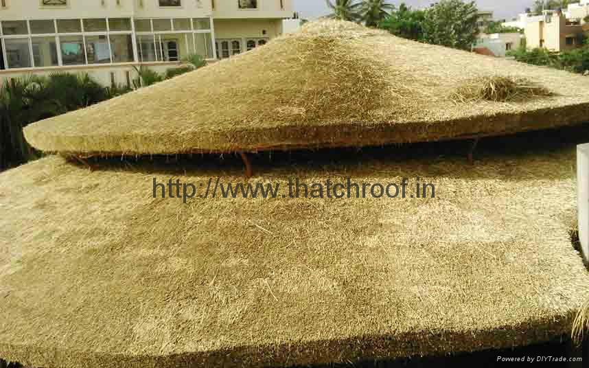 Thatch Roof 4