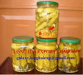 Export Canned Cucumber and Canned Tomatoes 3