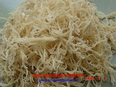 Export Seaweed high quality
