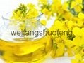 High quality refined canola oil 4