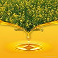 High quality refined canola oil 2