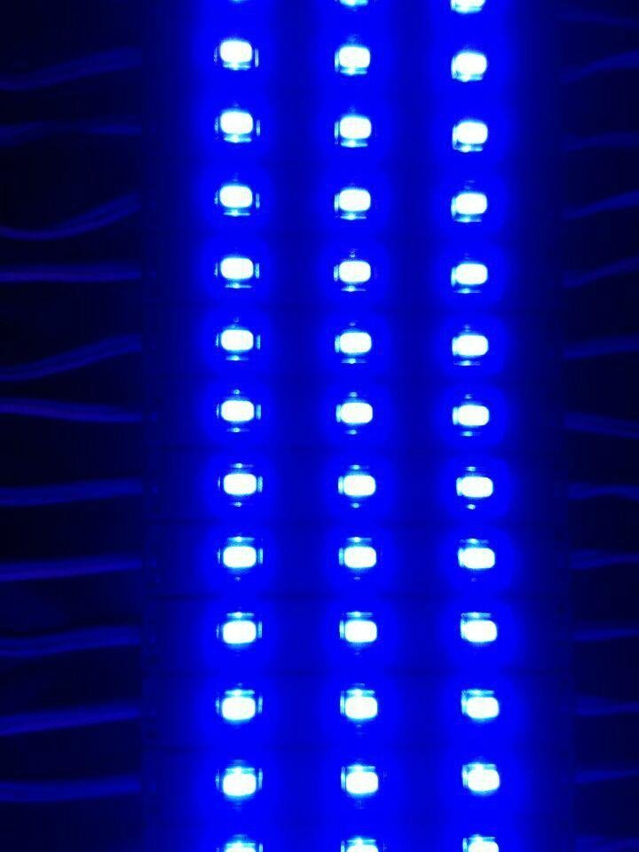  LED MODULES  5630  3LED 5