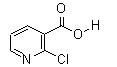 2-氯烟酸