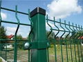 Wire Mesh Fence 1